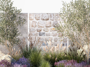 Beautiful garden with olive lavender and feather grass 1375 3D 模型
