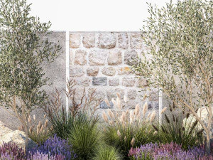 Beautiful garden with olive lavender and feather grass 1375 3D Model