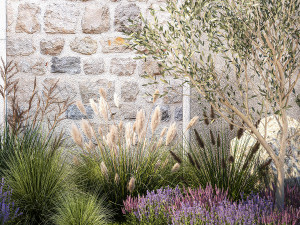 Beautiful garden with olive lavender and feather grass 1375 3D 模型