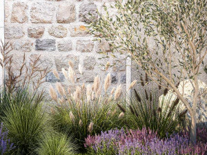 Beautiful garden with olive lavender and feather grass 1375 3D Model