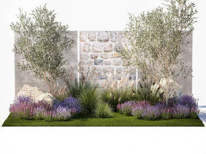 Beautiful garden with olive lavender and feather grass 1375 3D Model