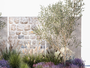 Beautiful garden with olive lavender and feather grass 1375 3D 模型
