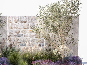 Beautiful garden with olive lavender and feather grass 1375 3D Model