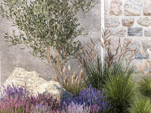 Beautiful garden with olive lavender and feather grass 1375 3D Model