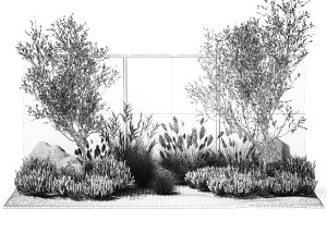 Beautiful garden with olive lavender and feather grass 1375 3D Model