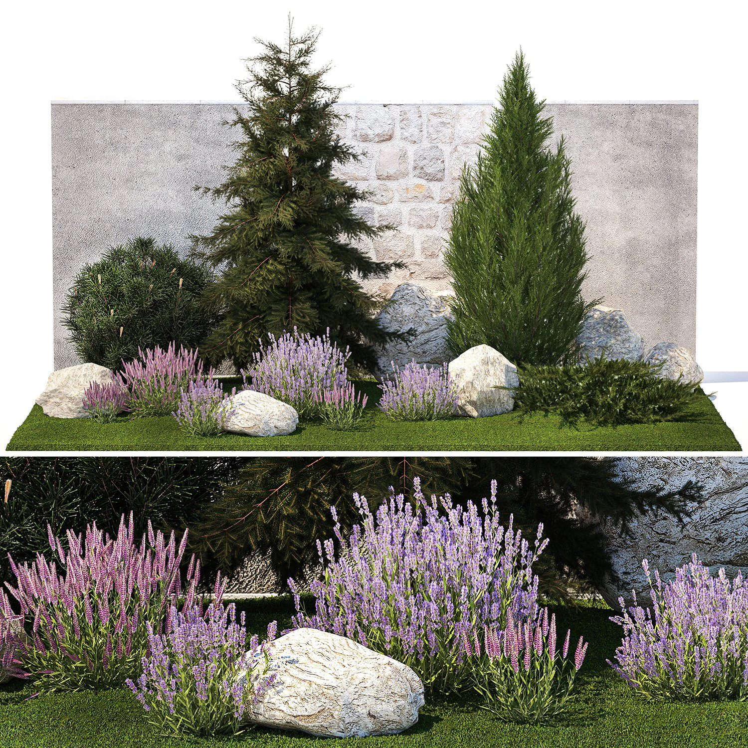 Beautiful garden lavender cypress spruce juniper 1376 3D Model .c4d .max .obj .3ds .fbx .stl .blend 