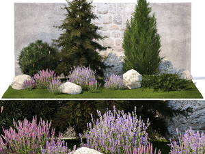 Beautiful garden lavender cypress spruce juniper 1376 3D Model