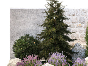 Beautiful garden lavender cypress spruce juniper 1376 Modelo 3D