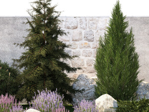 Beautiful garden lavender cypress spruce juniper 1376 Modelo 3D