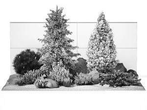 Beautiful garden lavender cypress spruce juniper 1376 3D Model