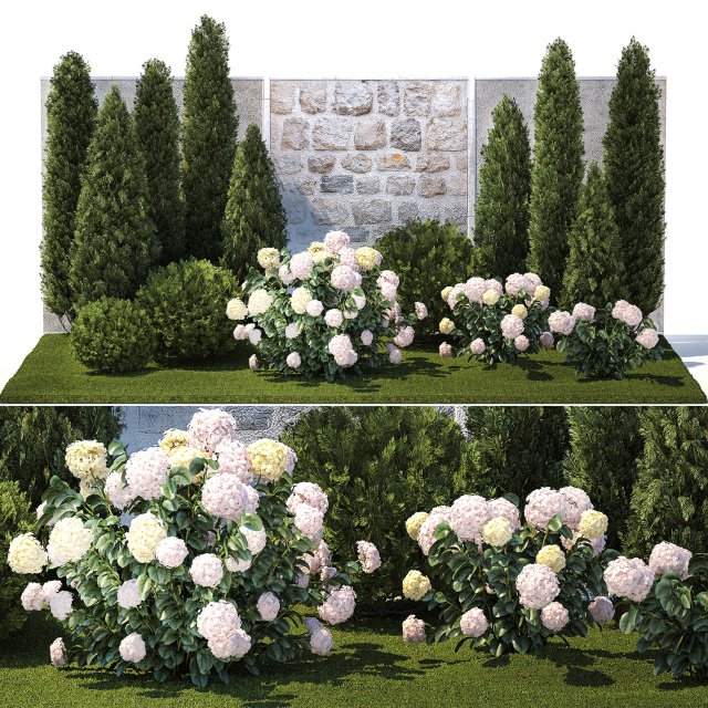 Beautiful garden thuja cypress bush hydrangea white 1377 Model 3D .c4d .max .obj .3ds .fbx .stl .blend 