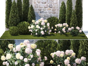 Beautiful garden thuja cypress bush hydrangea white 1377 Modelo 3D