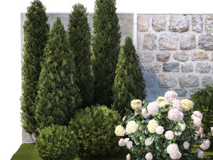 Beautiful garden thuja cypress bush hydrangea white 1377 Model 3D
