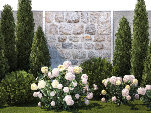 Beautiful garden thuja cypress bush hydrangea white 1377 Model 3D
