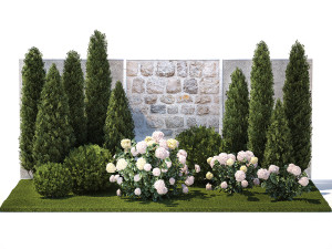 Beautiful garden thuja cypress bush hydrangea white 1377 Model 3D