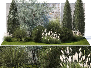 トゥジャ ヒノキ オリーブ パインと茂みのある庭園 1378 3Dモデル