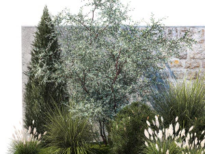 Jardim com pinheiro-oliva thuja cipreste e arbustos 1378 Modelo 3D
