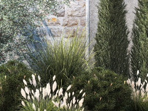 Garden with thuja cypress olive pine and bushes 1378 Modelo 3D