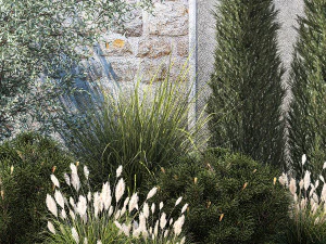 Jardim com pinheiro-oliva thuja cipreste e arbustos 1378 Modelo 3D