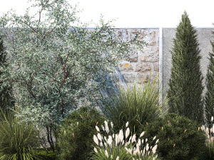 Jardim com pinheiro-oliva thuja cipreste e arbustos 1378 Modelo 3D