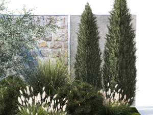 Jardim com pinheiro-oliva thuja cipreste e arbustos 1378 Modelo 3D