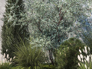 Jardim com pinheiro-oliva thuja cipreste e arbustos 1378 Modelo 3D
