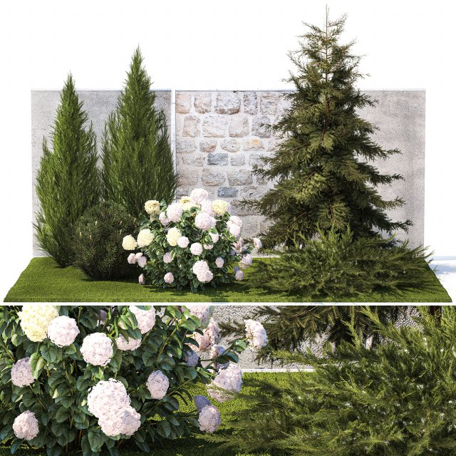 Garden with thuja cypress pine and Hydrangea white bushes 1379 3D Модель .c4d .max .obj .3ds .fbx .stl .blend 