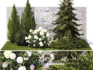 Garden with thuja cypress pine and Hydrangea white bushes 1379 Modelo 3D