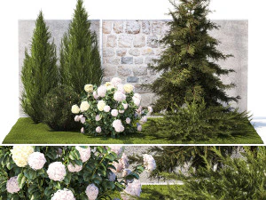 Jardin avec pins cypr&egrave;s thuya et buissons d'hortensias blancs 1379 Modèle 3D