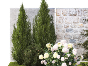 Garden with thuja cypress pine and Hydrangea white bushes 1379 3D Модель