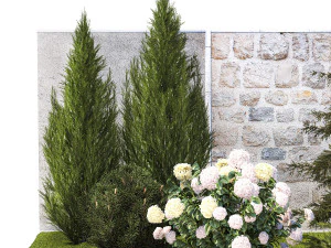 Garden with thuja cypress pine and Hydrangea white bushes 1379 3D Model