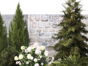 Garden with thuja cypress pine and Hydrangea white bushes 1379 3D Модель