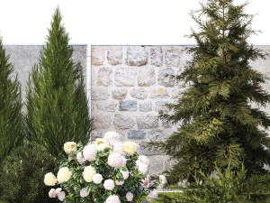 Garden with thuja cypress pine and Hydrangea white bushes 1379 3D Model