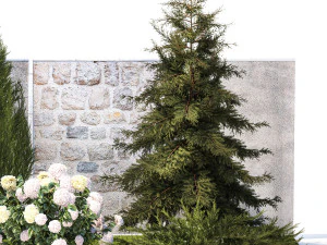 Garden with thuja cypress pine and Hydrangea white bushes 1379 3D Model