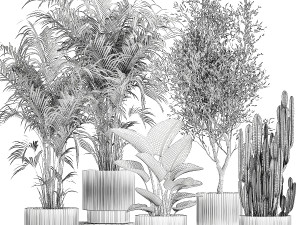 Beautiful plants Strelitzia Oliva cactus in pots 1380 3D-Modell