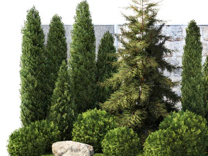 Garden with thuja cypress pine and topiary plant 1381 3D Model