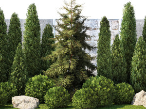 Garden with thuja cypress pine and topiary plant 1381 3D Модель