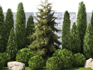 Garden with thuja cypress pine and topiary plant 1381 3D Model