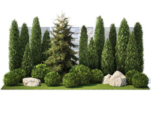 Garden with thuja cypress pine and topiary plant 1381 3D Model
