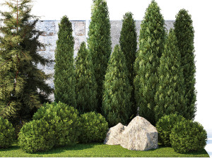 Garden with thuja cypress pine and topiary plant 1381 3D Модель