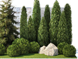 Garden with thuja cypress pine and topiary plant 1381 3D Model