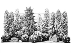 Garden with thuja cypress pine and topiary plant 1381 3D Model