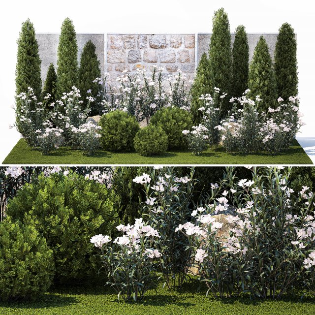 Garden with thuja cypress pine and Nerium oleander plant 1382 3D 模型 .c4d .max .obj .3ds .fbx .stl .blend