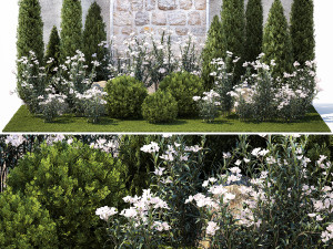 Garden with thuja cypress pine and Nerium oleander plant 1382 Model 3D