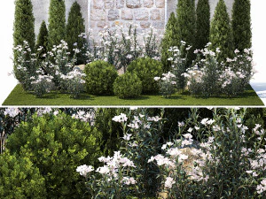 Jardin avec pin cypr&egrave;s thuya et plante Nerium oleander 1382 Modèle 3D