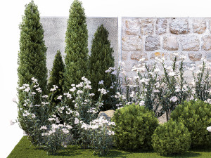 Garden with thuja cypress pine and Nerium oleander plant 1382 3D 模型