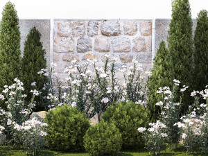 Garden with thuja cypress pine and Nerium oleander plant 1382 3D 模型