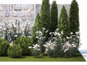 Garden with thuja cypress pine and Nerium oleander plant 1382 3D 模型