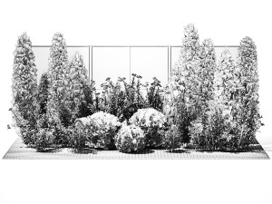 Garden with thuja cypress pine and Nerium oleander plant 1382 3D 模型