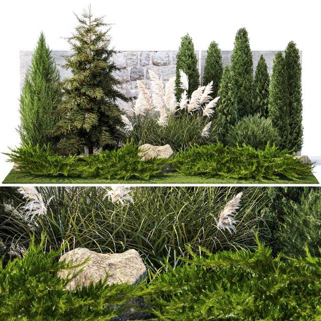 Garden with thuja cypress tree and pampas grass reed grass 1383 3D Model .c4d .max .obj .3ds .fbx .stl .blend 